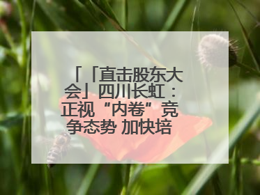 「直击股东大会」四川长虹：正视“内卷”竞争态势 加快培育发展新动能