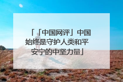 「中国网评」中国始终是守护人类和平安宁的中坚力量