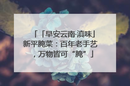 「早安云南·滇味」新平腌菜：百年老手艺，万物皆可“腌”