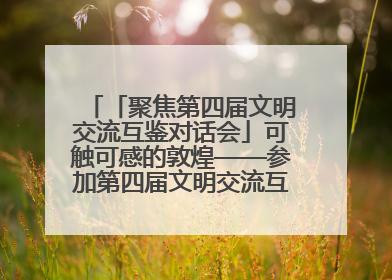 「聚焦第四届文明交流互鉴对话会」可触可感的敦煌——参加第四届文明交流互鉴对话会的外宾参观上元市集