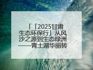 「2025甘肃生态环保行」从风沙之源到生态绿洲——青土湖华丽转身书写生态新篇
