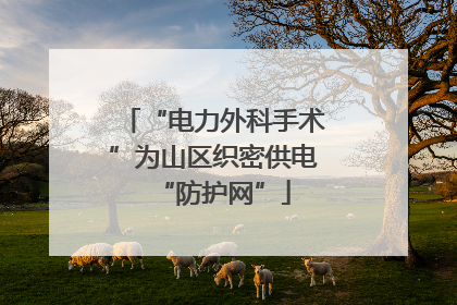 “电力外科手术”为山区织密供电“防护网”