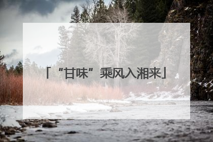 “甘味”乘风入湘来
