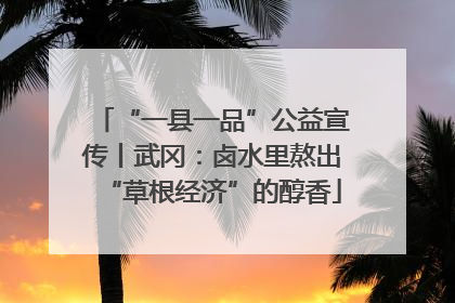 “一县一品”公益宣传丨武冈：卤水里熬出“草根经济”的醇香