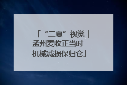 “三夏”视觉｜孟州麦收正当时 机械减损保归仓