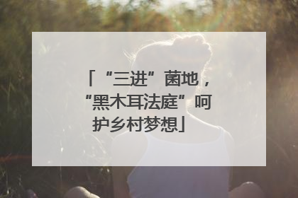 “三进”菌地，“黑木耳法庭”呵护乡村梦想