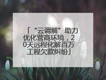 “云调解”助力优化营商环境，20天远程化解百万工程欠款纠纷