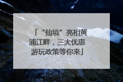“仙境”亮相黄浦江畔，三大优惠游玩政策等你来