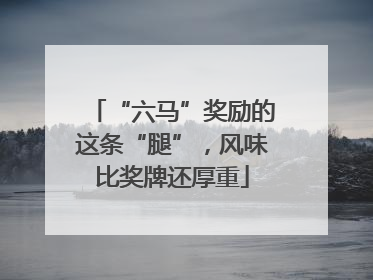 “六马”奖励的这条“腿”，风味比奖牌还厚重