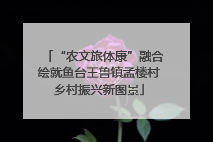 “农文旅体康”融合绘就鱼台王鲁镇孟楼村乡村振兴新图景