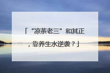 “凉茶老三”和其正，靠养生水逆袭？