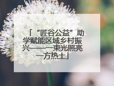 “匠谷公益”助学赋能区域乡村振兴——一束光照亮一方热土