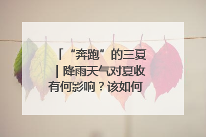 “奔跑”的三夏｜降雨天气对夏收有何影响？该如何防范？一文了解