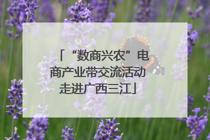 “数商兴农”电商产业带交流活动走进广西三江