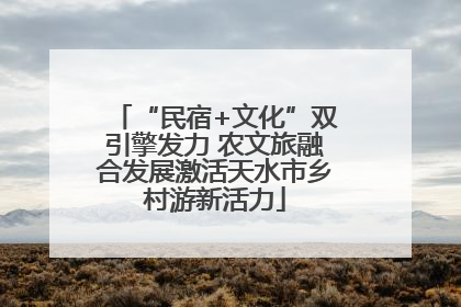 “民宿+文化”双引擎发力 农文旅融合发展激活天水市乡村游新活力
