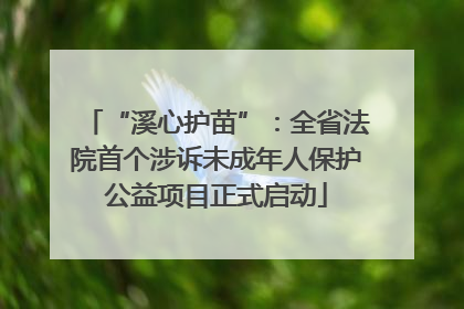 “溪心护苗”：全省法院首个涉诉未成年人保护公益项目正式启动