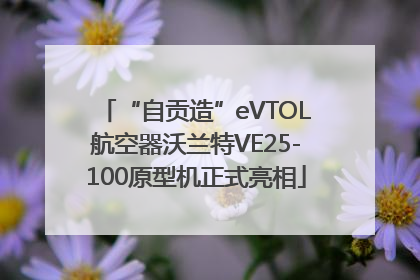 “自贡造”eVTOL航空器沃兰特VE25-100原型机正式亮相