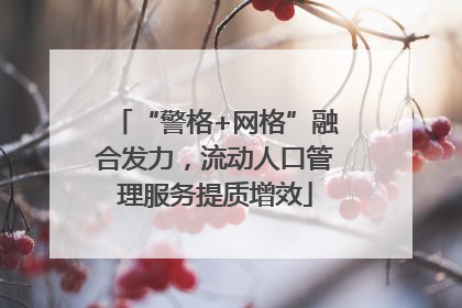“警格+网格”融合发力，流动人口管理服务提质增效