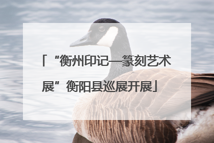 “衡州印记—篆刻艺术展”衡阳县巡展开展