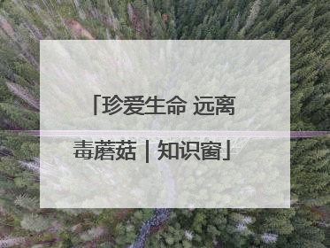 珍爱生命 远离毒蘑菇｜知识窗