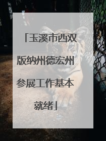 玉溪市西双版纳州德宏州参展工作基本就绪