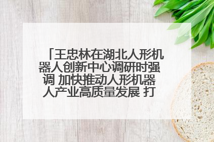 王忠林在湖北人形机器人创新中心调研时强调 加快推动人形机器人产业高质量发展 打造具有全国影响力的研发创新基地