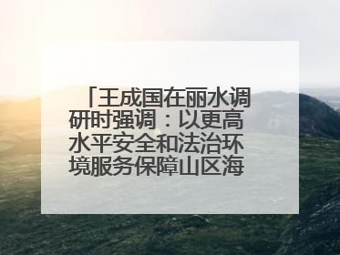 王成国在丽水调研时强调：以更高水平安全和法治环境服务保障山区海岛县高质量发展