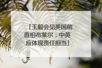 王毅会见英国前首相布莱尔：中英应体现责任担当