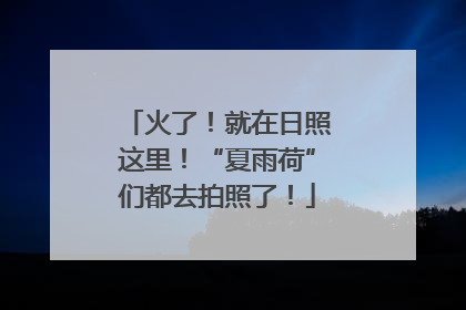 火了！就在日照这里！“夏雨荷”们都去拍照了！