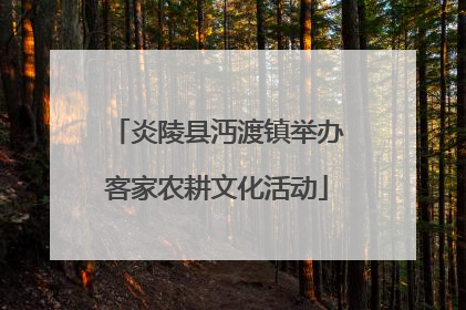 炎陵县沔渡镇举办客家农耕文化活动