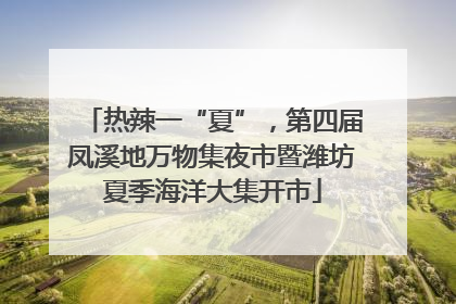 热辣一“夏”，第四届凤溪地万物集夜市暨潍坊夏季海洋大集开市