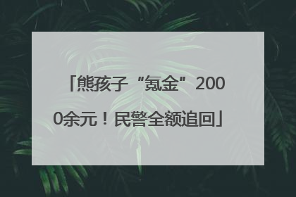 熊孩子“氪金”2000余元！民警全额追回