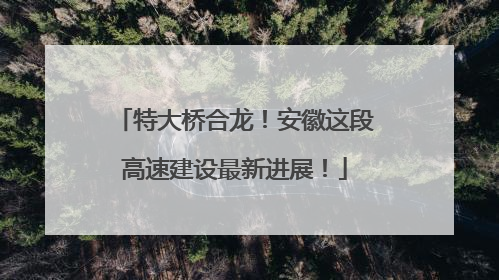特大桥合龙！安徽这段高速建设最新进展！