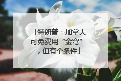 特朗普：加拿大可免费用“金穹”，但有个条件