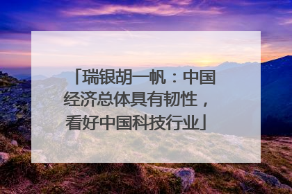 瑞银胡一帆：中国经济总体具有韧性，看好中国科技行业