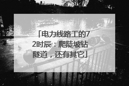 电力线路工的72时辰：爬陡坡钻隧道，还有其它