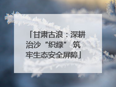 甘肃古浪：深耕治沙“织绿” 筑牢生态安全屏障