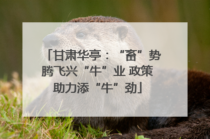 甘肃华亭：“畜”势腾飞兴“牛”业 政策助力添“牛”劲