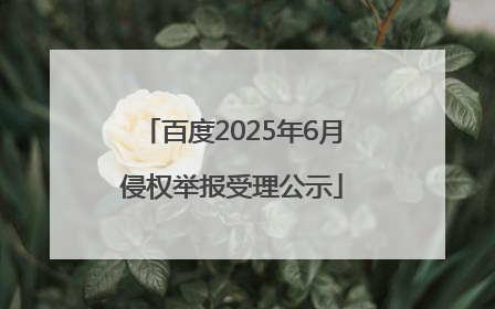 百度2025年6月侵权举报受理公示