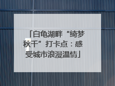 白龟湖畔“绮梦秋千”打卡点：感受城市浪漫温情