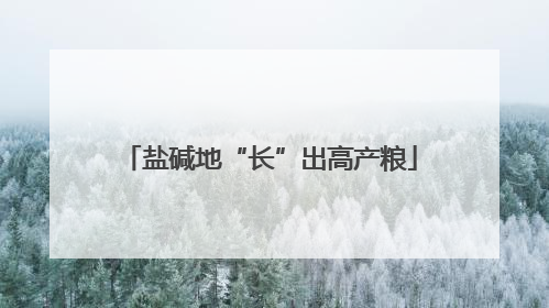 盐碱地“长”出高产粮