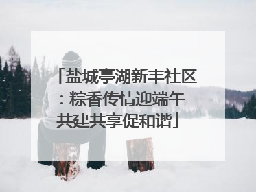 盐城亭湖新丰社区：粽香传情迎端午 共建共享促和谐