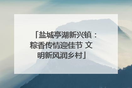 盐城亭湖新兴镇：粽香传情迎佳节 文明新风润乡村