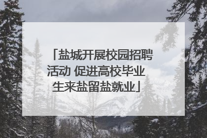 盐城开展校园招聘活动 促进高校毕业生来盐留盐就业