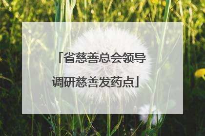 省慈善总会领导调研慈善发药点