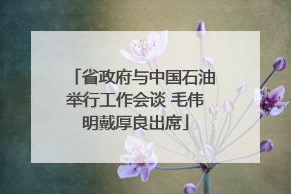 省政府与中国石油举行工作会谈 毛伟明戴厚良出席