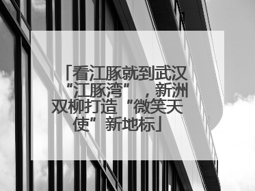 看江豚就到武汉“江豚湾”，新洲双柳打造“微笑天使”新地标