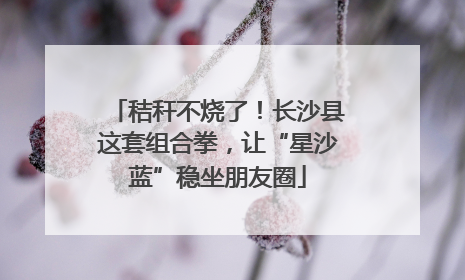 秸秆不烧了！长沙县这套组合拳，让“星沙蓝”稳坐朋友圈