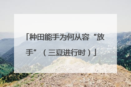 种田能手为何从容“放手”（三夏进行时）