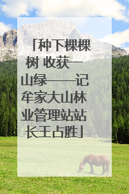种下棵棵树 收获一山绿——记牟家大山林业管理站站长王占胜
